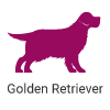 retriever